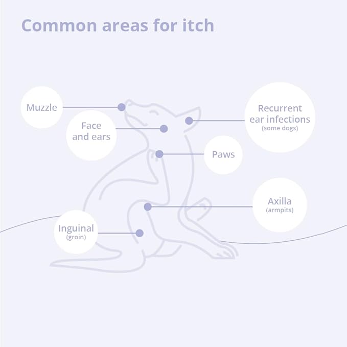 4 Spray Conditioner for Dogs, Cats and Horses, 8 oz-PawvioPets