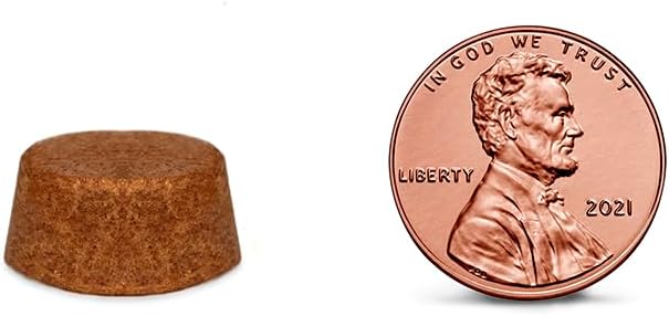 BRAVECTO Chew for Dogs, Flea & Tick, 1 Chew, 12 Week Supply, 9.9-22 lbs., Orange Box-PawvioPets