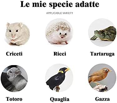 Food for Hamsters, Hedgehogs, Lizards, Frogs, Birds, Hedgehogs, Snacks, Nutritious, high Protein, Cooked breadworms, Small Animal Food-PawvioPets