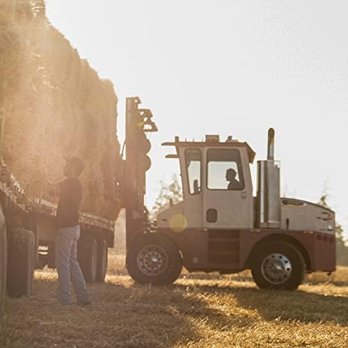 Blue Mountain Hay | Fresh Teff Grass Hay (15 Ounce) | Low NSC, High Fiber, Healthy Weight Management | High-Altitude Hay Pet Food for Rabbits, Guinea Pigs, Chinchillas, Hamsters, and Other Small Pets-PawvioPets