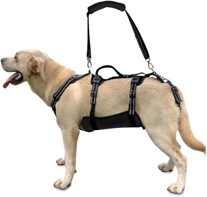 Coodeo Dog Lift Harness, Support & Recovery Sling, Pet Rehabilitation Lifts Vest Adjustable Breathable Straps for Old, Disabled, Joint Injuries, Arthritis, Paralysis Dogs Walk (Black,XL)-PawvioPets