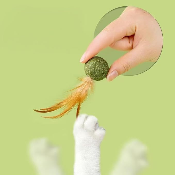 5 Pieces of Catnip Toys Ideal Catnip Ball to Stimulate Cat Exercising and Interacting Toys for Cats-PawvioPets