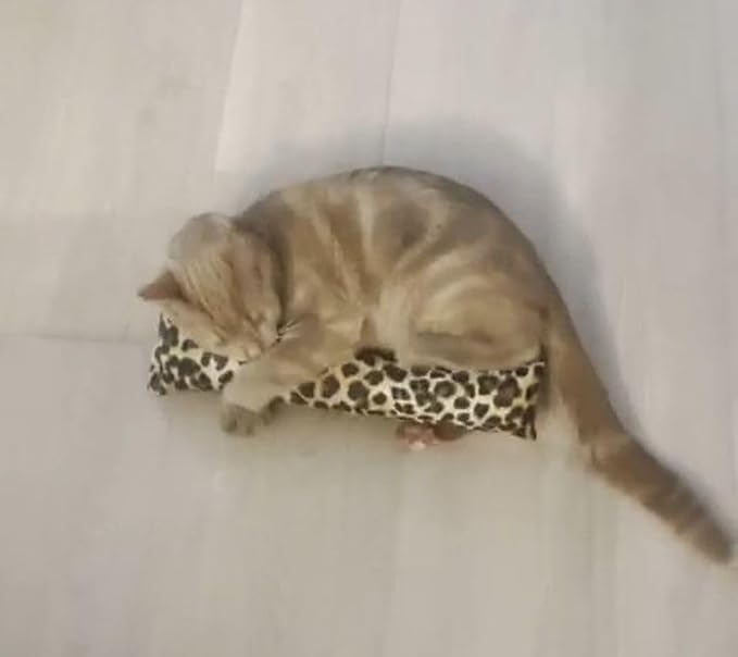 15" Catnip Cat Kicker Toys/Kitty Kick Sticks/Cat-Nip Kick Sticks (Leopard Print) (Kickers Filled with 1 oz Premium Canadian Catnip)-PawvioPets