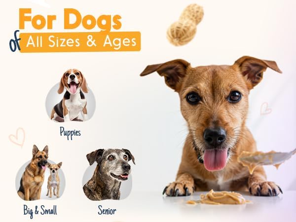 BUDDY BUDDER 6 Pack Mixed Flavor Squeeze Packs, 100% Natural Dog Peanut Butter, Healthy Peanut Butter Dog Treats, Made in USA, (4oz Packs)-PawvioPets