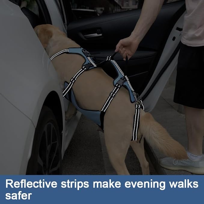 Coodeo Dog Lift Harness, Full Body Support & Recovery Sling, Pet Rehabilitation Lifts Vest for Old Dog with Arthritis Walk(Bule,L)-PawvioPets