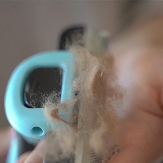 Cat Brush & Cat Comb for Shedding, 2.5inch Blue - Hair Brush for Long Hair and Short Hair, Pet Grooming Tool for Small to Medium Dogs and Cats, Detangle, Eco Friendly, Weekly Grooming-PawvioPets