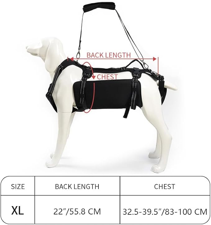 Coodeo Dog Lift Harness, Support & Recovery Sling, Pet Rehabilitation Lifts Vest Adjustable Breathable Straps for Old, Disabled, Joint Injuries, Arthritis, Paralysis Dogs Walk (Black,XL)-PawvioPets