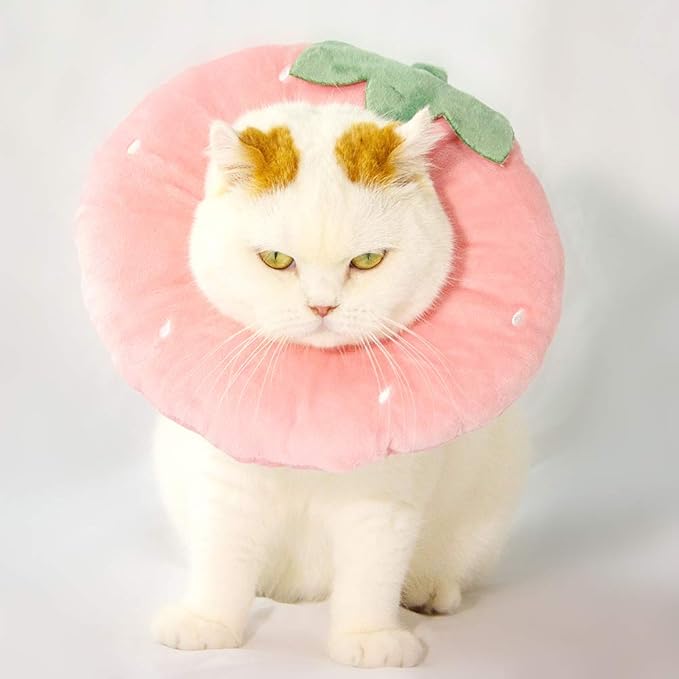 Adjustable Cat Recovery Collar Soft,Cute Pet E-Collar Neck Cone After Surgery Wound Healing Protective Cone Fit for Kitties, Small Dogs(ELC05-strawberry-s)-PawvioPets