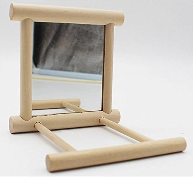 Bird Mirror with Swing and Perch for Parakeets Cockatiels Lovebirds Finches - Wooden Interactive Hanging Cage Toy, 3.7 x 3.5 x 3.5 Inch, 1 Pack-PawvioPets