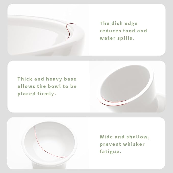 Extra Wide Elevated Ceramic Cat Bowl - 6.2" Shallow Dish for Whisker Fatigue Relief, 5" Height for Easy Feeding, Lead & Cadmium Free, Durable Raised Cat Food Bowls, White-PawvioPets