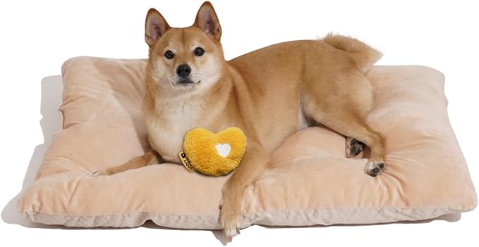 FUNNY FUZZY 2 in 1 Dog Crate Bed Pad for Large Sized Dog, Washable Reversible Pet Soft Mats,Durable Fluffy Kennel Mattress,Indoor Cats, 35" × 23", Beige-PawvioPets