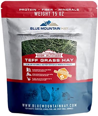 Blue Mountain Hay | Fresh Teff Grass Hay (40 Ounce) | Low NSC, High Fiber, Healthy Weight Management | High-Altitude Hay Pet Food for Rabbits, Guinea Pigs, Chinchillas, Hamsters, and Other Small Pets-PawvioPets