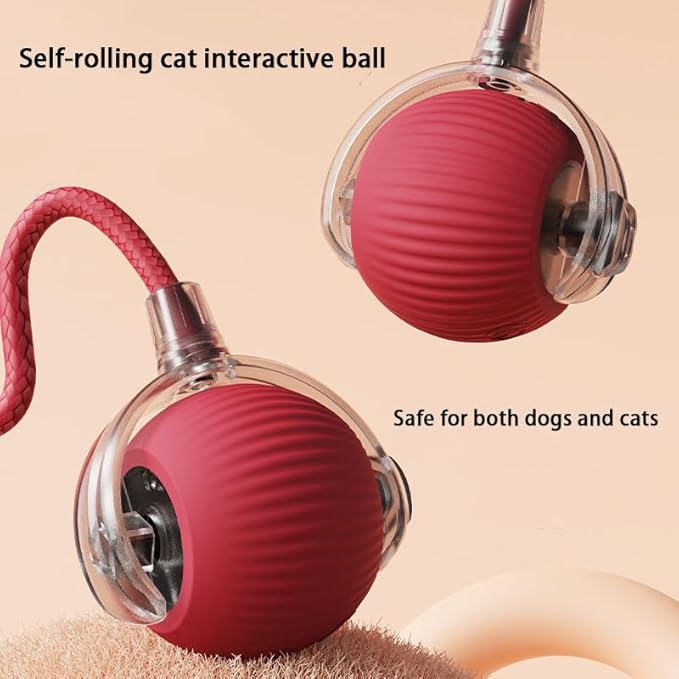 2 Packs Interactive Cat Toy Ball for Indoor Cats - 3-Speed Smart Rolling Ball with Flashing Lights, USB Rechargeable Automatic Motion Kitten Toys for Bored Adult Cats & Playful Kittens-PawvioPets