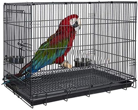 Durable Easy Portable Collapsible Metal Travel or Veterinary Collapsable Parrot Bird Carrier Beaks-Proof Easy Clean Carrier Cage with Stainless Steel Feeder Bowls Natural Wooden Perch-PawvioPets