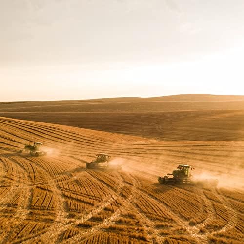 Blue Mountain Hay | Fresh Teff Grass Hay (15 Ounce) | Low NSC, High Fiber, Healthy Weight Management | High-Altitude Hay Pet Food for Rabbits, Guinea Pigs, Chinchillas, Hamsters, and Other Small Pets-PawvioPets