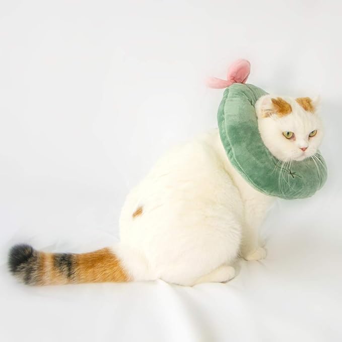 Adjustable Cat Recovery Collar Soft,Cute Pet E-Collar Neck Cone After Surgery Wound Healing Protective Cone Fit for Kitties, Small Dogs(ELC05-cactus-s)-PawvioPets