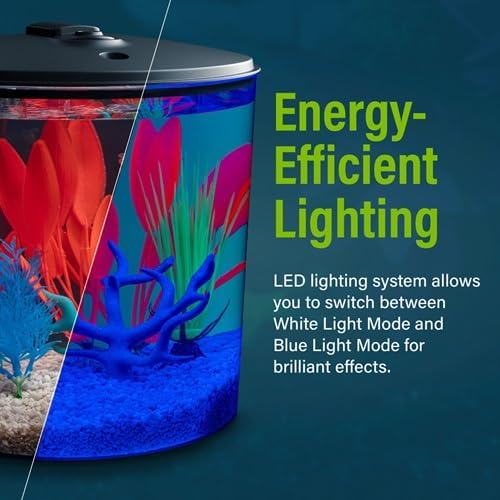 GloFish 3.5 Gallon Aquarium Kit with LED Lighting and Tetra Whisper Filter-PawvioPets