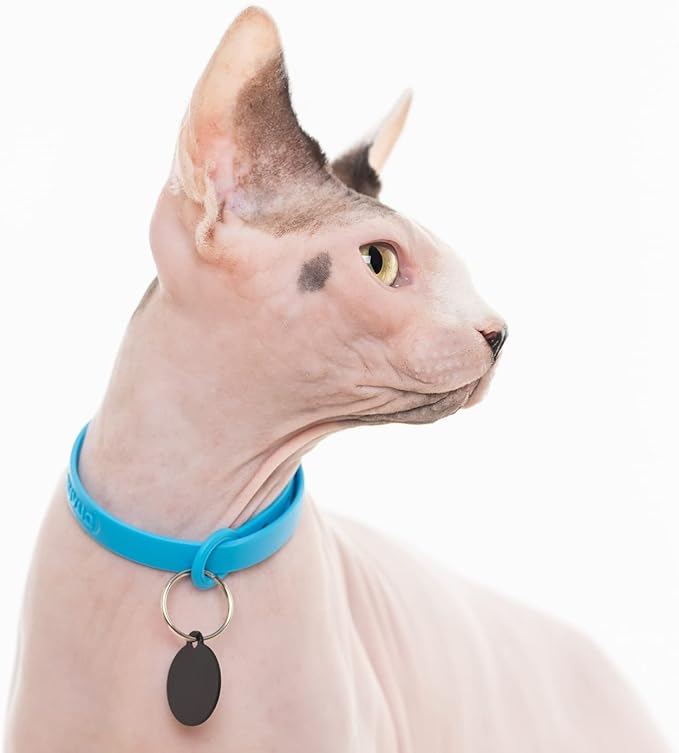 3 Pack Breakaway Cat Collar - Soft, Comfortable, and Lightweight Safety Buckle Collar with Name Tag Ring for Outdoor Cats and Sensitive Skin Kittens by Nuvuq (6 ⅞" to 10 ¼", Blue, Pink and Black)-PawvioPets