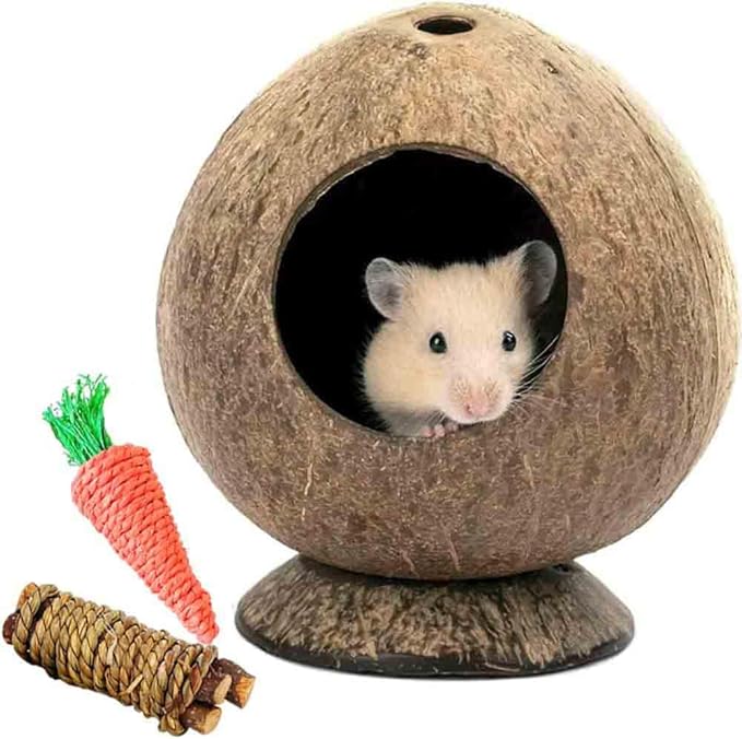 Coconut Hamster Hideout Hamster House Gerbil Cage for Small Animals with a Bundle of Apple Sticks a Carrot (Yellow)-PawvioPets