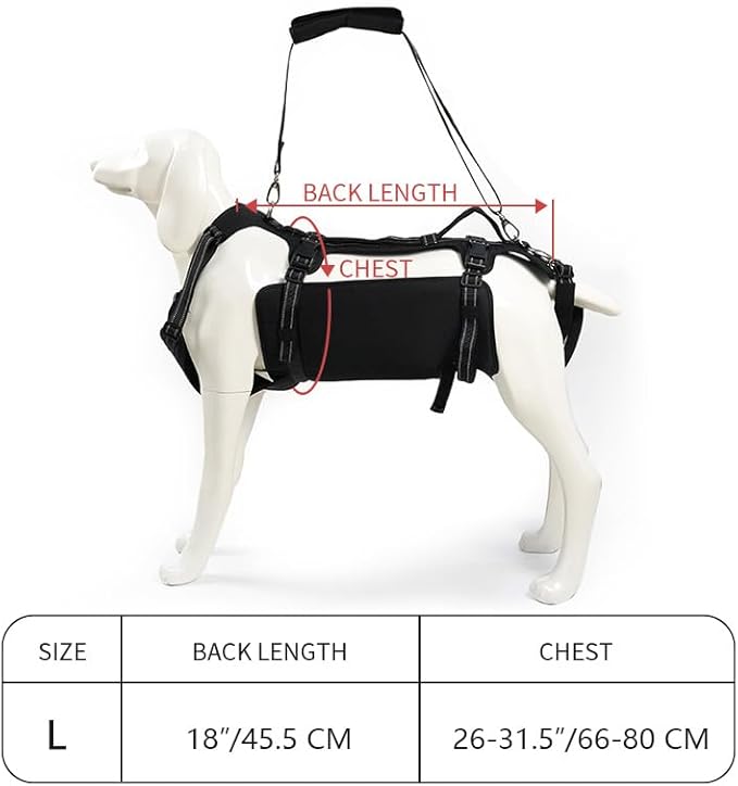 Coodeo Dog Lift Harness, Support & Recovery Sling, Pet Rehabilitation Lifts Vest Adjustable Breathable Straps for Old, Disabled, Joint Injuries, Arthritis, Paralysis Dogs Walk (Black,L)-PawvioPets