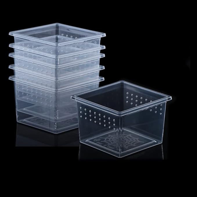 10 Pcs Insect Spider Terrariums Breeding Box Hatching Container Small Reptile Scorpion Centipede Acrylic Breeding Box (Small Size)-PawvioPets