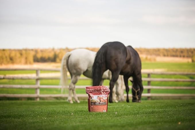 Glow 10 lb, Aids in Weight Gain and Improves Coat and Condition, Includes Omega-3’s-PawvioPets