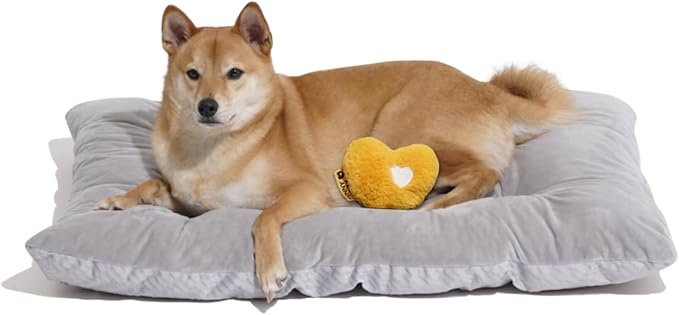 FUNNY FUZZY Dog Bed Crate Pad Mat, Washable Reversible Pet Floor Mats,Fluffy Kennel Pad for Large Sized Dog,Indoor Cats,Sleeping Mattress, 35.4" × 22.8", Light Grey-PawvioPets