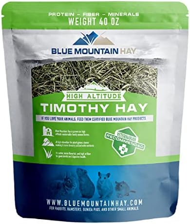 Blue Mountain Hay | Fresh Timothy Hay (40 Ounce) | Great for All Ages | High-Altitude Hay Pet Food for Rabbits, Guinea Pigs, Chinchillas, Hamsters, and Other Small Pets-PawvioPets