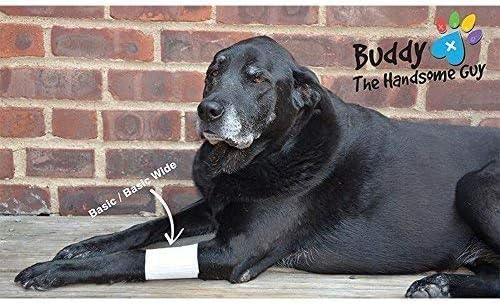 Basic Leg Bandages for Dogs, Cats Pets - First-Aid Non Adhesive Fur Friendly, Soft Stretch Wound Care, Hot Spots, Fungus, Adjustable Fastening Strap Value Pack (2XS/XS 20-Pack)-PawvioPets