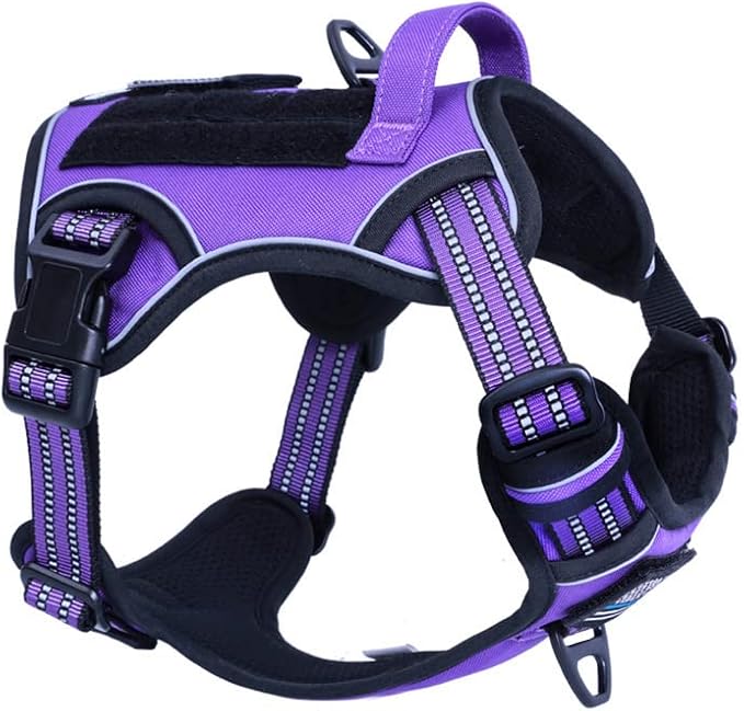 BUMBIN Tactical Dog Harness for Small Dogs No Pull, Famous TIK Tok No Pull Puppy Harness, Fit Smart Reflective Pet Walking Harness for Training, Adjustable Dog Vest Harness with Handle Purple S-PawvioPets