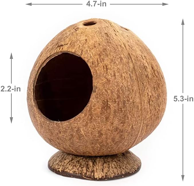 Coconut Hamster Hideout Hamster House Gerbil Cage for Small Animals with a Bundle of Apple Sticks a Carrot (Brown)-PawvioPets