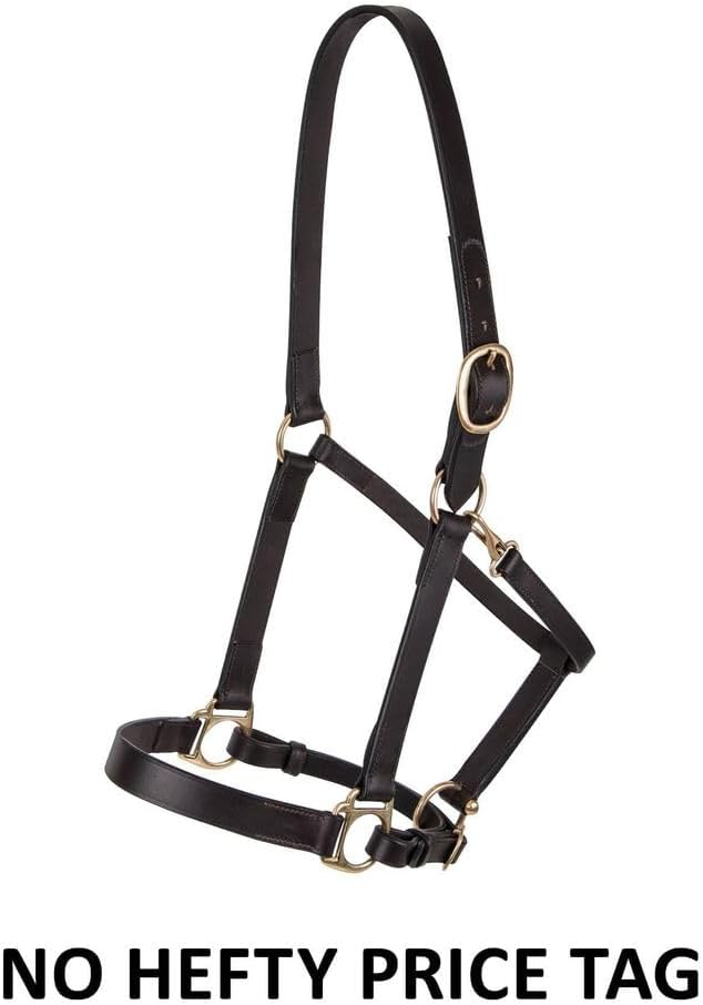 Dura-Tech Premier Lancaster Leather Halter for Horses | Simple Economy Leather Halter with Adjustable Fit & Solid Brass Hardware-PawvioPets