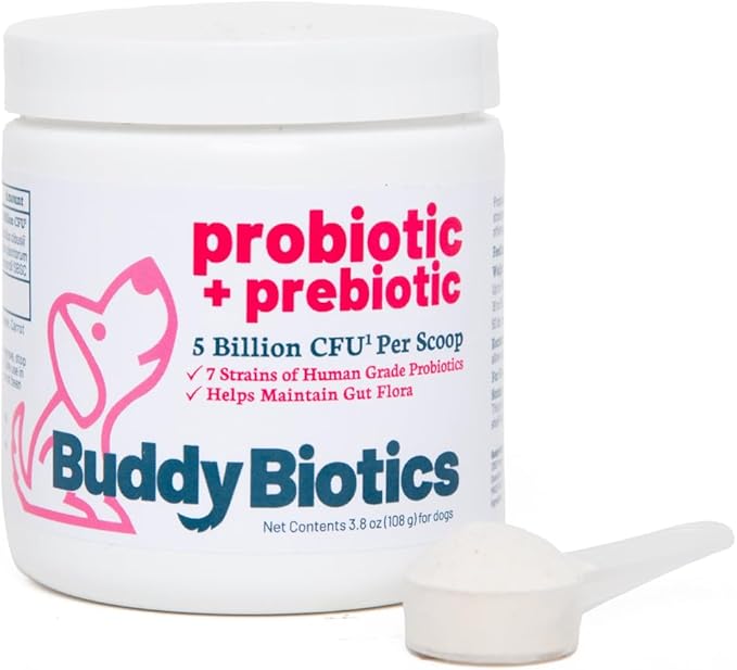 Buddy Biotics Probiotic + Prebiotic for Dogs- Gut Flora Health, Digestive and Immune Health, Diarrhea and Bowel Support – 5 Billion CFU per Scoop-PawvioPets