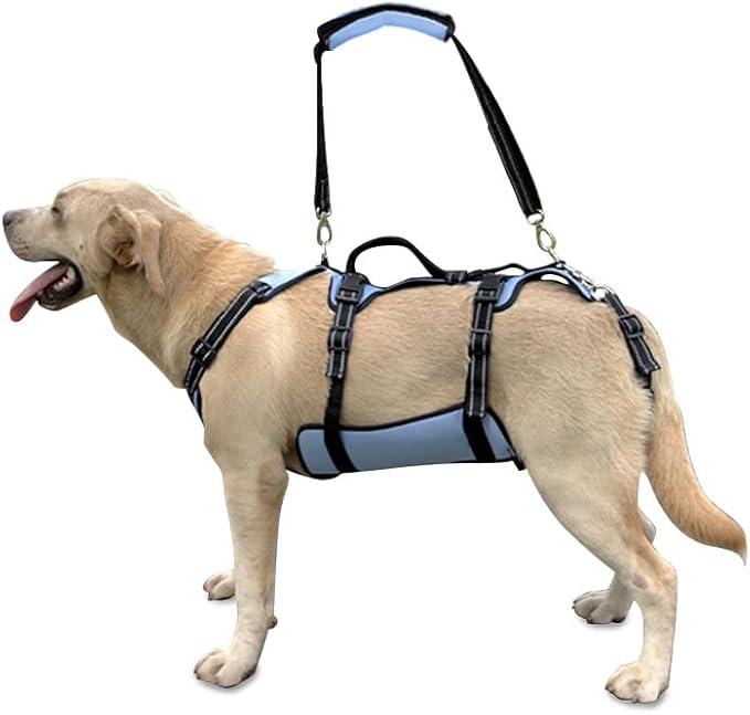 Coodeo Dog Lift Harness, Full Body Support & Recovery Sling, Pet Rehabilitation Lifts Vest for Old Dog with Arthritis Walk(Bule,L)-PawvioPets