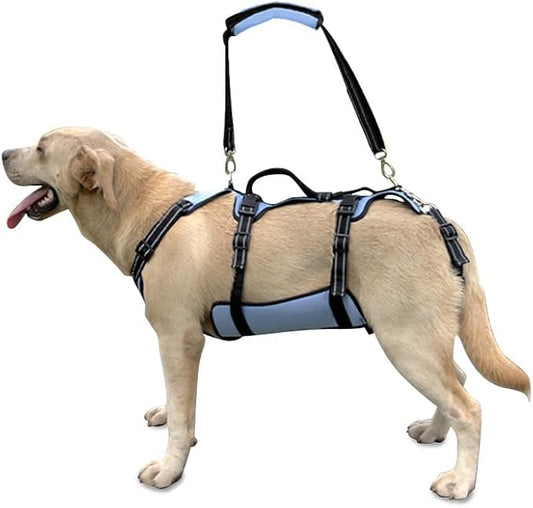 Coodeo Dog Lift Harness, Full Body Support & Recovery Sling, Pet Rehabilitation Lifts Vest for Old Dog with Arthritis Walk(Bule,L)-PawvioPets