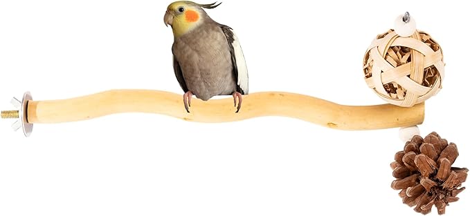 Bird Toys Perch Stand for Cage with Pine Cones, Natural Parrot Toys, Small Chewing Sticks Toys Bird Cage Accessories for Conures Parakeets Cockatoo African Grey Parrots (1PCS)-PawvioPets