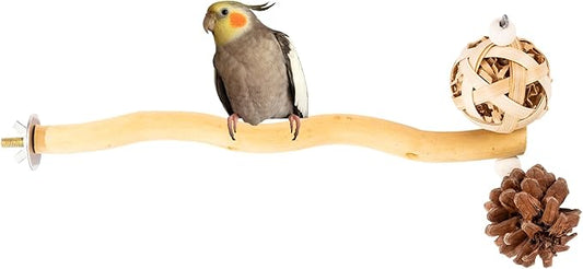 Bird Toys Perch Stand for Cage with Pine Cones, Natural Parrot Toys, Small Chewing Sticks Toys Bird Cage Accessories for Conures Parakeets Cockatoo African Grey Parrots (1PCS)-PawvioPets
