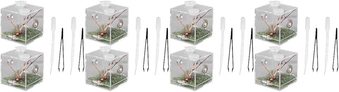 balacoo 8 Sets Jumping Spider Enclosure: Spider Cage Habitat Jumping Terrarium Micro Scorpion Droppers Reptile Hide Clear Enclosure Breeding Box Case with Breeding Tweezers-PawvioPets