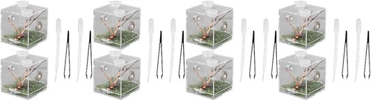 balacoo 8 Sets Jumping Spider Enclosure: Spider Cage Habitat Jumping Terrarium Micro Scorpion Droppers Reptile Hide Clear Enclosure Breeding Box Case with Breeding Tweezers-PawvioPets