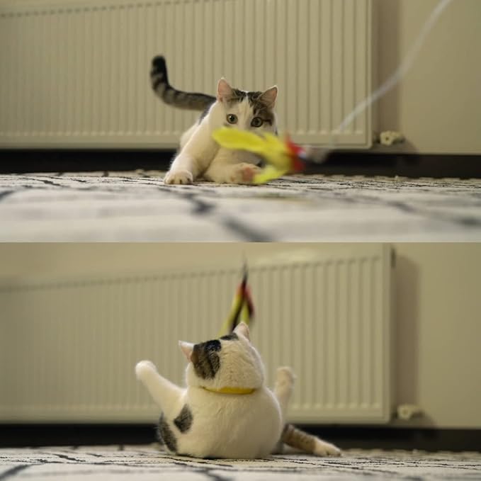 11PCS Cat Feather Toys Refills, 10PCS Feathers and 1PC String, Interactive Cat Wand Toy Replacement for Bored Indoor Adult Cats & Kittens-PawvioPets