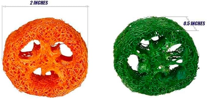 15 Pcs Fruit Flavored Loofah Slices Rabbit Chew Toys Guinea Pig Chew Toys Small Pet Chews Bunny Toys for Teeth Rabbit Toys-PawvioPets