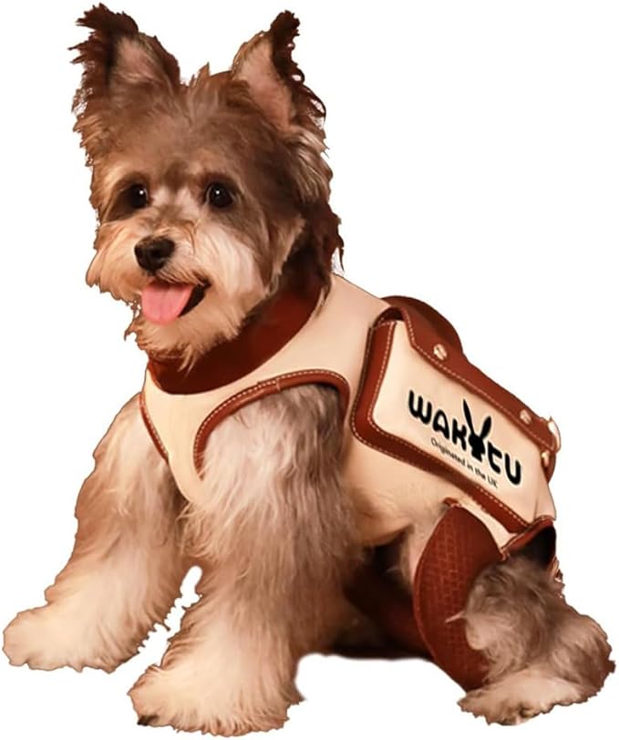 Dog Lift Harness Dog Carrier VES Harness Adjustable Leash with Small Puppy Treat Bag,Fits Most Cars,L-PawvioPets