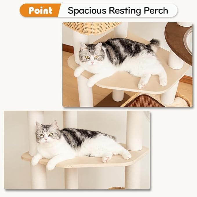 48'' Cat Tree for Large Cats, Modern Cat Tree Multi-Level Condo with Natural Wood, Cat Activity Centre for Medium and Big Pets-PawvioPets