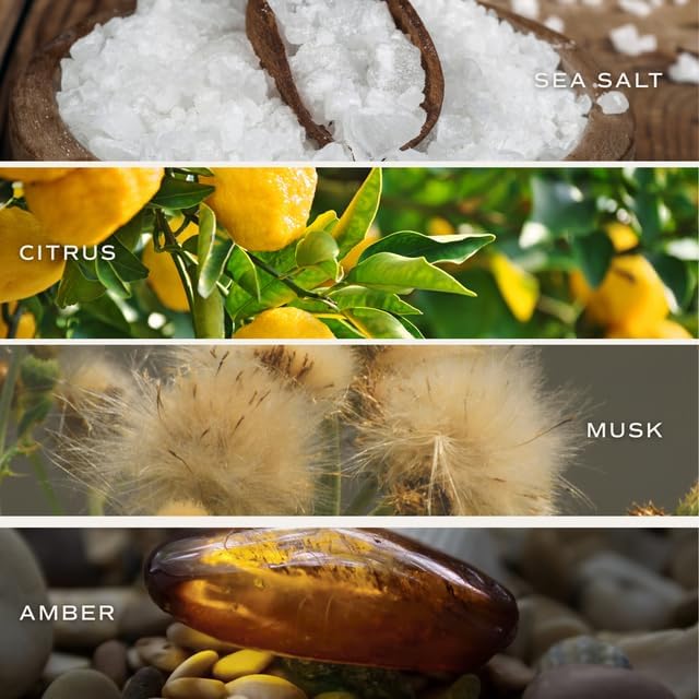 Sweet Water Decor Smells Like Forever Starts Now Candle, Wedding Candle, 9oz Jar with Gold Lid, Sea Salt Citrus Musk Amber Scent, Non-Toxic Soy Wax, Engagement Gift for Bride, Bridal Shower, Newlyweds