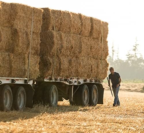 Blue Mountain Hay | Fresh Teff Grass Hay (40 Ounce) | Low NSC, High Fiber, Healthy Weight Management | High-Altitude Hay Pet Food for Rabbits, Guinea Pigs, Chinchillas, Hamsters, and Other Small Pets-PawvioPets