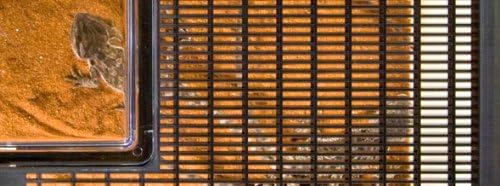 Exo Terra Faunarium, Plastic Reptile Terrarium, Mini, PT2250-PawvioPets