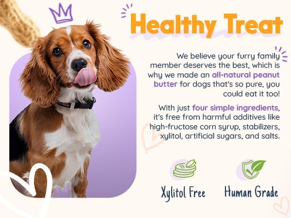 BUDDY BUDDER 6 Pack Mixed Flavor Squeeze Packs, 100% Natural Dog Peanut Butter, Healthy Peanut Butter Dog Treats, Made in USA, (4oz Packs)-PawvioPets