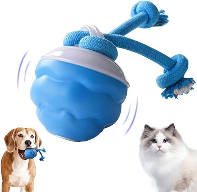 2026 New Interactive Pet Toy Ball, Smart Interactive Toy Ball for Cats & Dogs, Electric Rolling Pet Toy Ball, Rechargeable Interactive Cat Toys for Bored Indoor Cats Kittens to Keep Busy (Blue)-PawvioPets