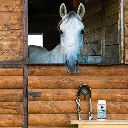 COAT DEFENSE Daily Preventative Powder for Horses - Safe & Effective Equine Skin Conditioner Sweet Itch, Skin Funk, & Rain Rot - Dry Horse Shampoo, 16 oz Formula with All Natural Ingredients-PawvioPets