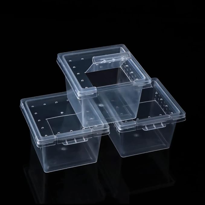 20 Pcs Spider Terrariums Breeding Box Hatching Container Acrylic Feeding Box for Small Reptile Scorpion Centipede Insect (Small Size)-PawvioPets